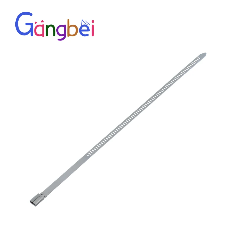 스테인리스 스틸 케이블 타이, 304 버클 케이블 타이, 4.5 100 태양광 마린 스텝 케이블 타이, Gangbei, 4.5*100