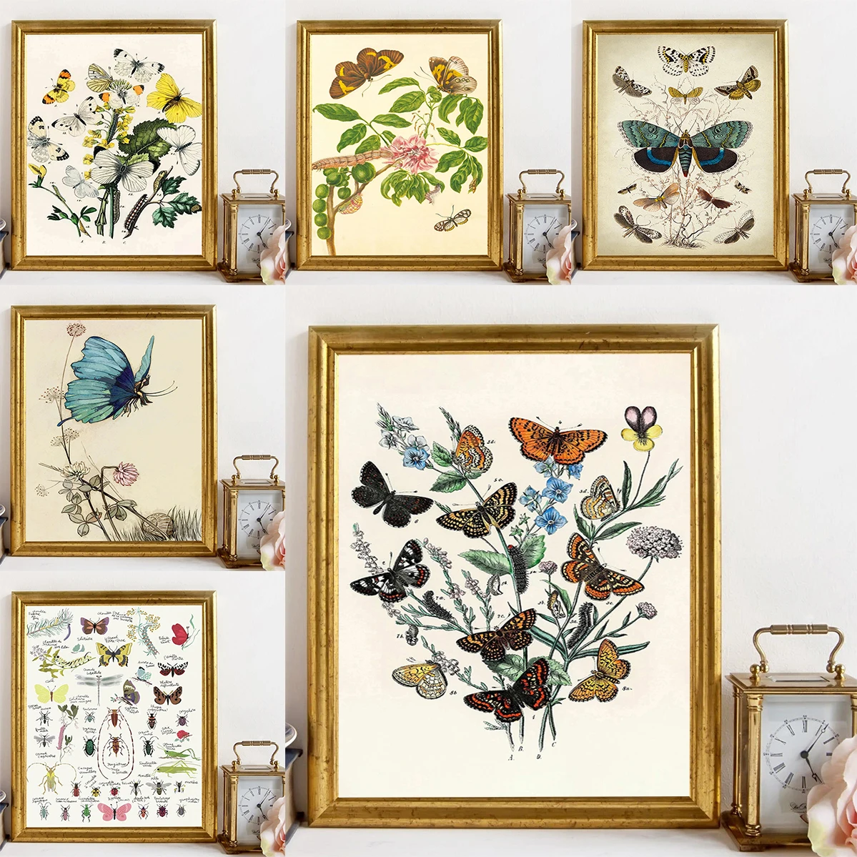 

Butterfly Insect Flower Mushroom Poster Posters for Wall Decor Decorative Painting Large Paintings Modern Living Room Decoration