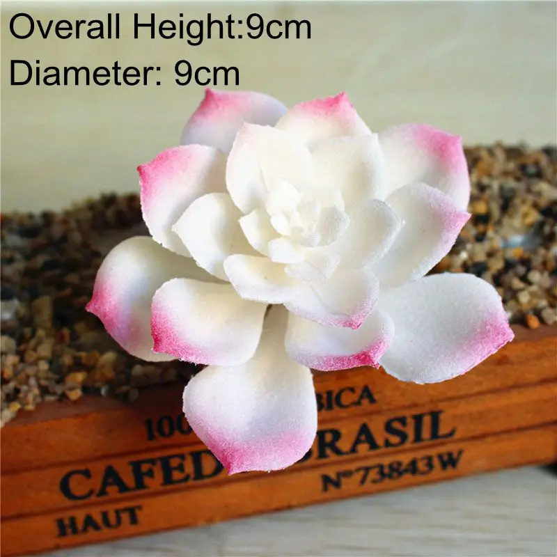 Vibrant Multicolor Flocking Succulent Plants
