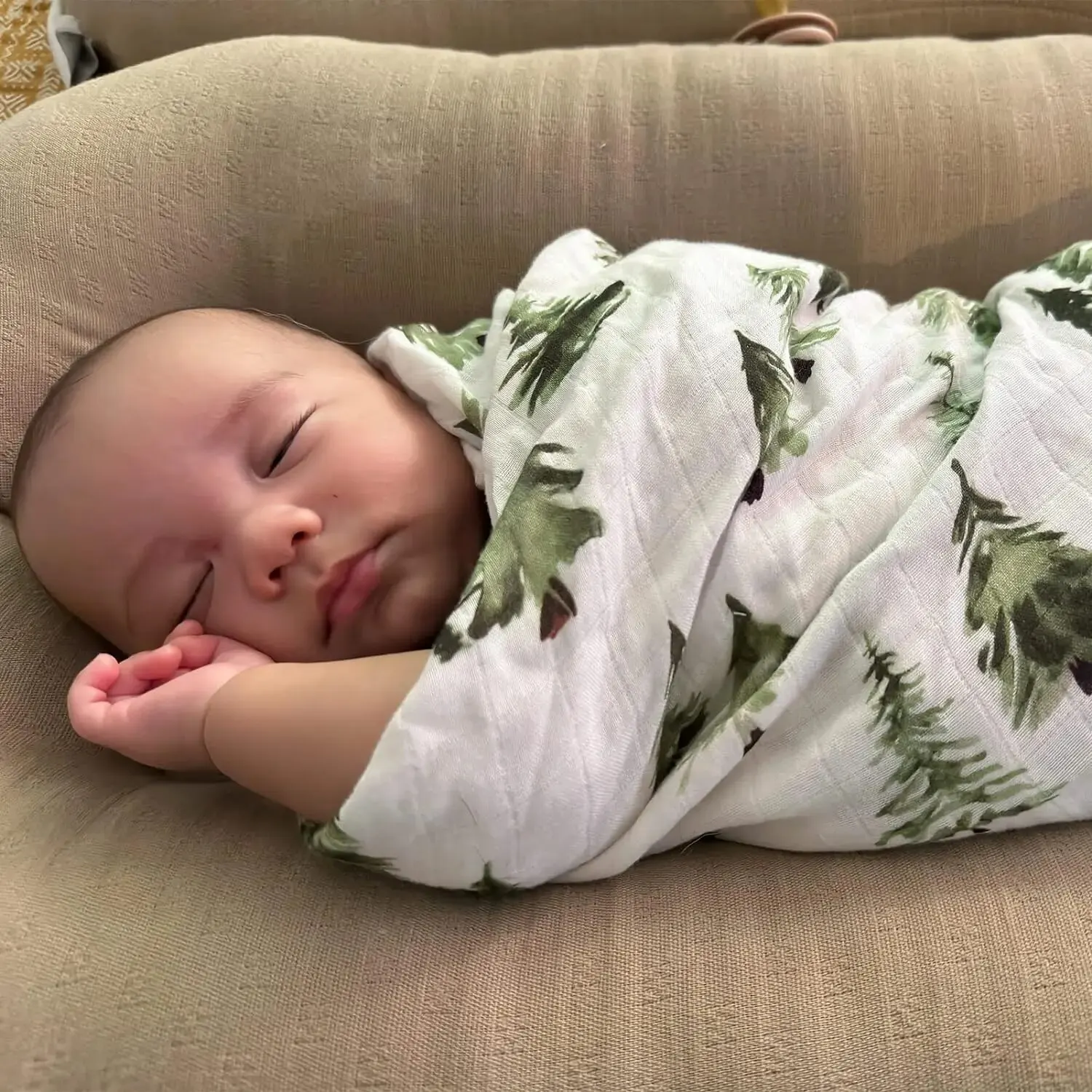 LifeTree ������� �𽽸� ��������� ���, �߸� ����Ʈ ����� ��, ���� �ޱ� ���, 120cm, 2 ��