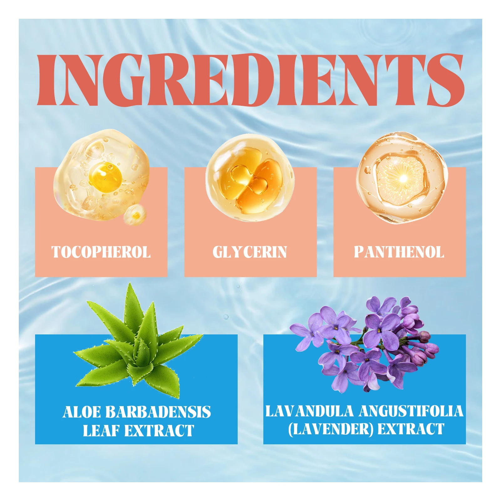 S181f272d48ef4ee1828a0ba7be717320A