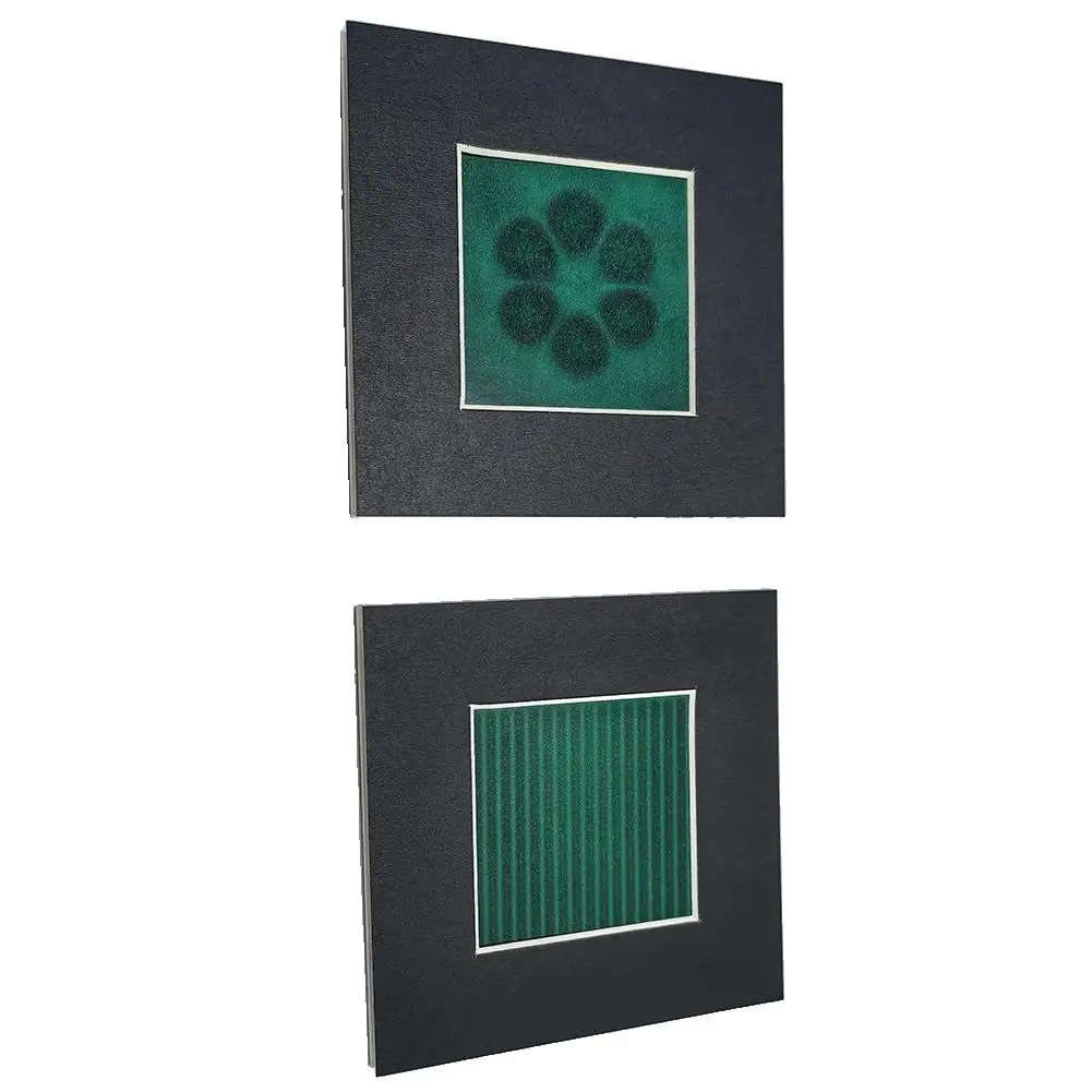 Magnetic Field Viewer Pattern Display Membrane Magnetic Card Detector Agnetic Viewing Film Magnetic Flux Display Automatic Recov 4