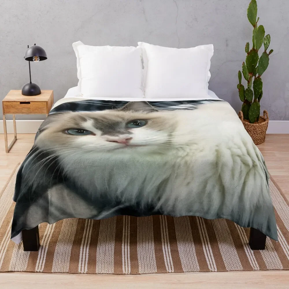 Ragdoll Cat Beauty Throw Coperta Single Fluffys Grandi Coperte
