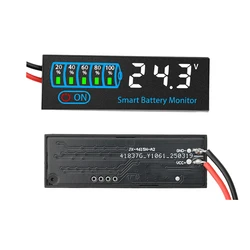 Universal Battery Level Indicator and Capacity Tester for Acid and Lithium Batteries (WHITE)