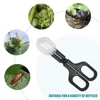 Transparent Insect Catcher Scissor Indoor Outdoor Bug Scooper Clamp Beekeeping Equipment Feeding Tool Tweezer Blue 2