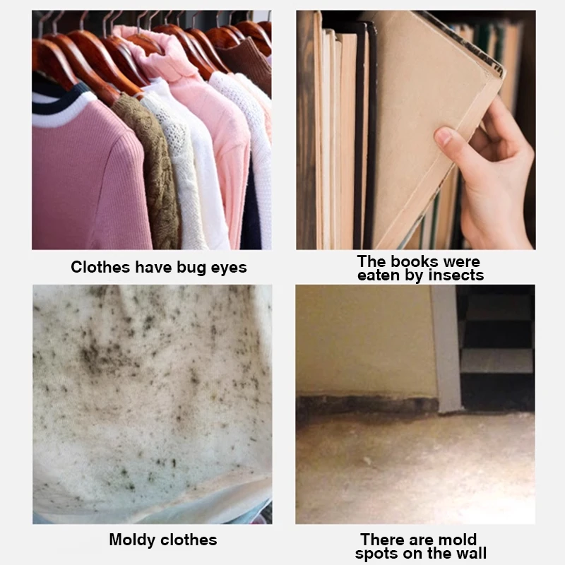 Camphor Balls Camphor Ball Wardrobe Odorless Non-toxic Insect Proof Moisture-proof Moldy Resistant