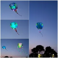 Show kite 13 square LED tadpole MLS brand pilot flat tail easy fly in day and night 30D Ripstop Nylon fabric inflatable LED KITE 1