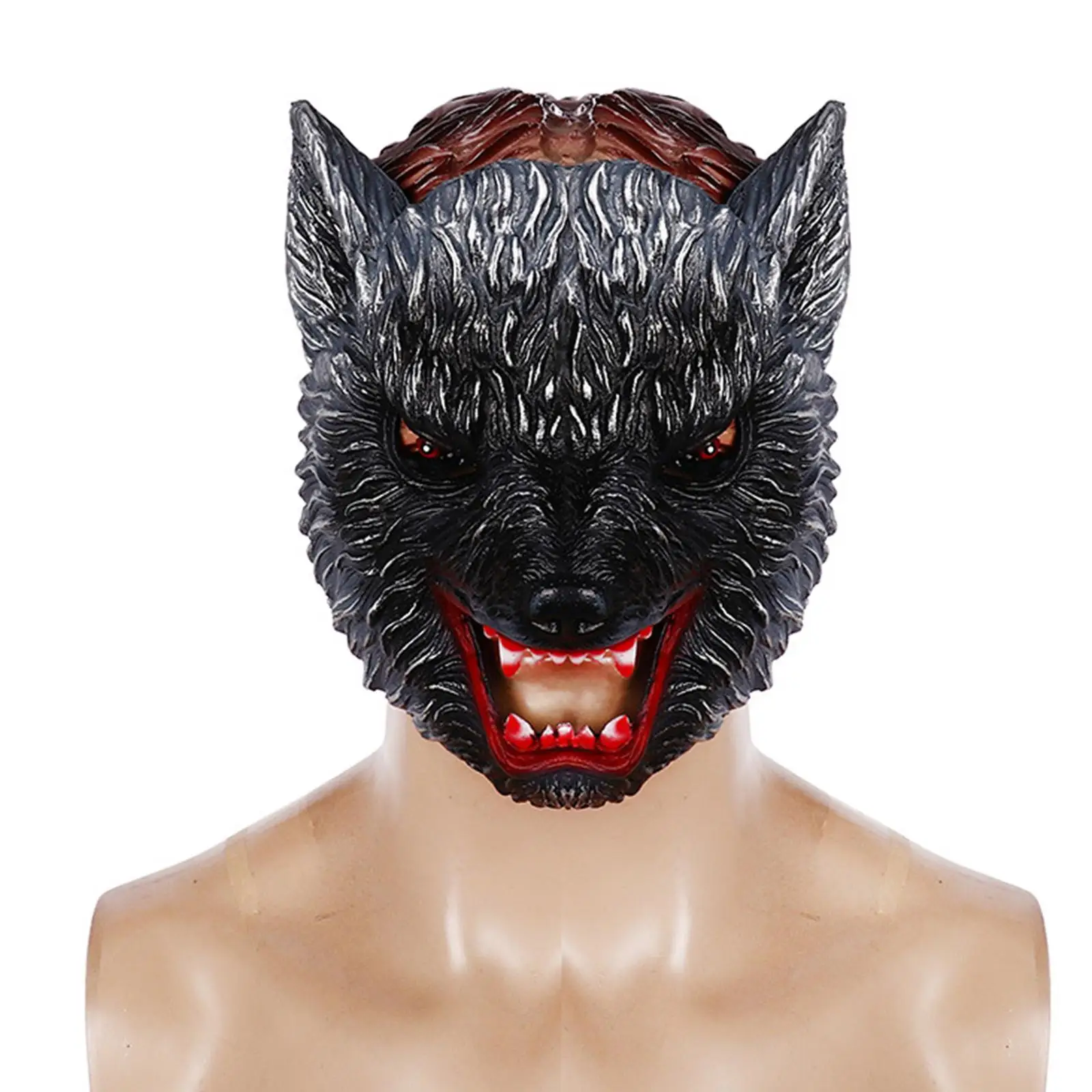 ҷ  ũ  ȸ ڽ ǻ, ȭ ׸   
