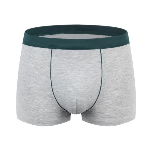 XL-9XL Big Size Men Underwear Cotton Male Boxer Plus Size Soft Underpant Men Solid Oversize Boxer Shorts Ventilate Seamless - Image 6