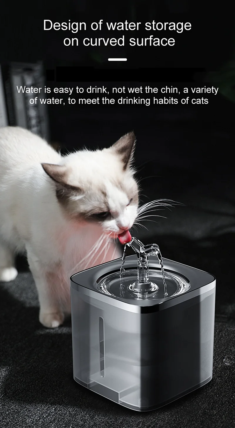 Not Drinking How Can I Get My Dog To Drink More Water Drinking