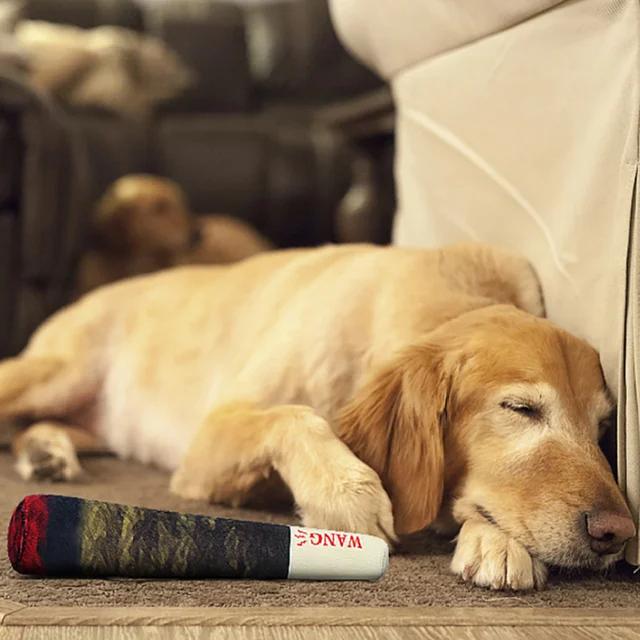 Interactive Cigar Plush Dog Toy 5