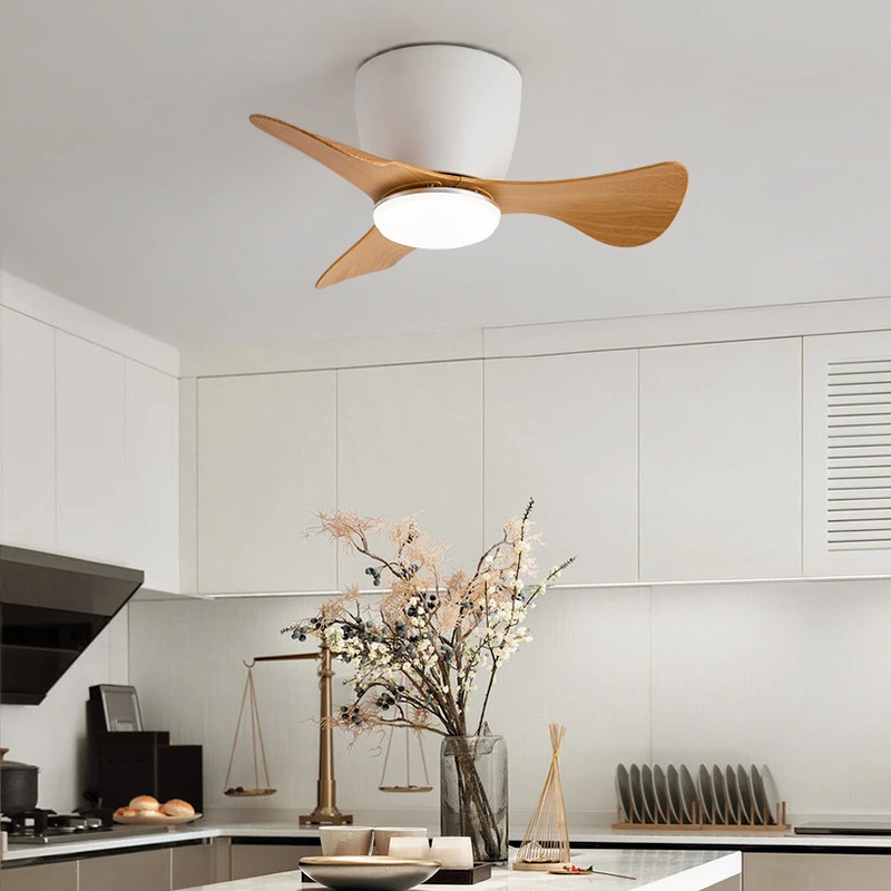 Smallest Ceiling Fan With Light