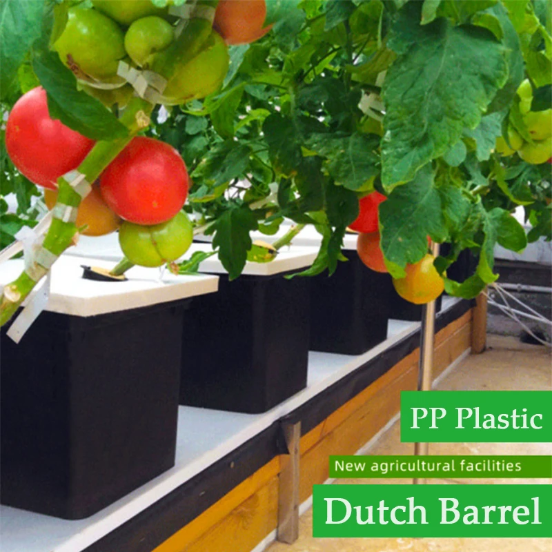 Home Balcony Soilless Cultivation Equipment Indoor Planting Dutch Barrel Greenhouse Vegetables Fruits Hydroponic Growth System