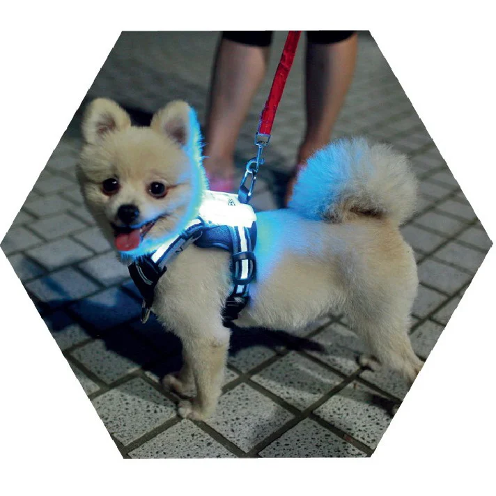 

Design Good cc simon Pet Dog LED Flash Collars Light Colorful Blinker Safety Flashing Collar