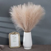 55CM 5/1PCS Fluffy Pampas Grass Boho Decor Flower Fake Plant Reed Simulated Wedding Party Christmas Home Decor Artificial Flower 5