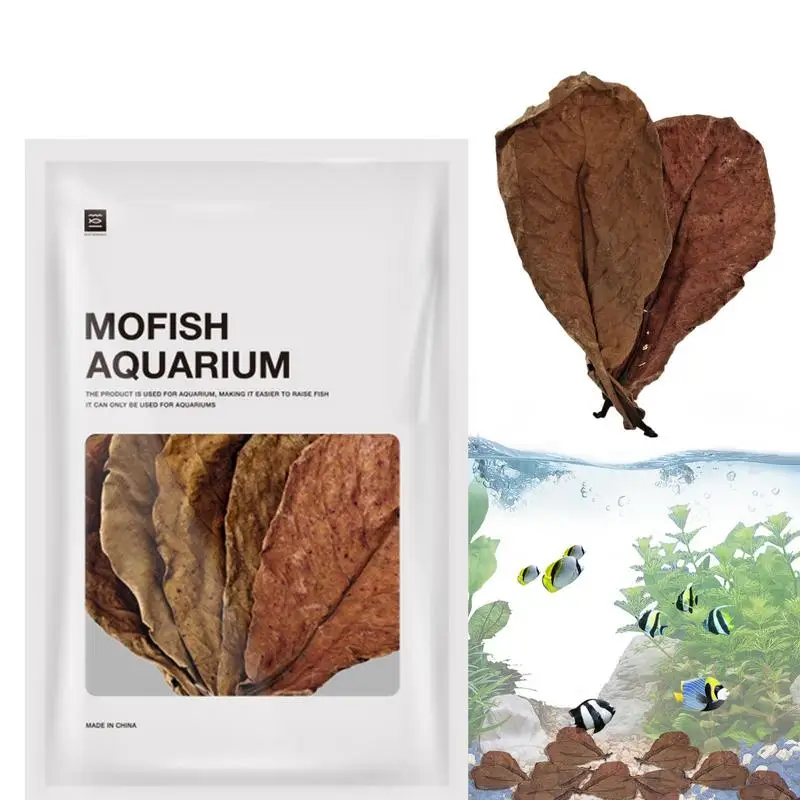 

Indians Almond Leaves 20pcs Natural Fish Aquarium Tank Water Conditioner Catappa Indians Almond Leaves For Fish Tank Pond &