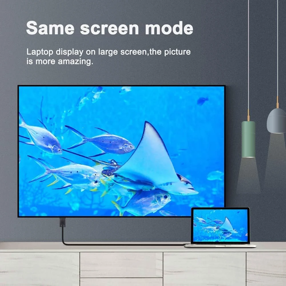  Ｚ ǻ º PC Ϳ C Ÿ VGA ȯ  ̺, 1080P   USB C VGA