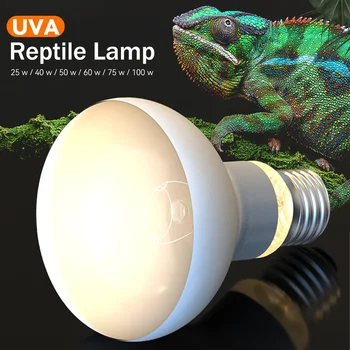 Reptile Heating Lamp 1