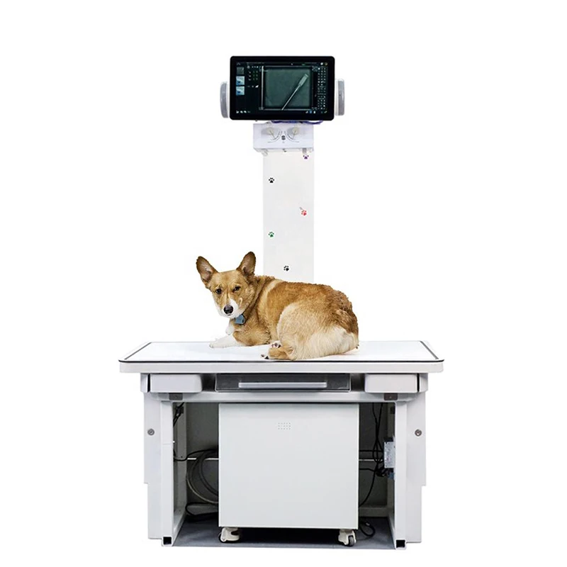 Professional veterinary equipment Veterinary Digital X Ray Machine