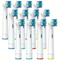 Standard 12pcs