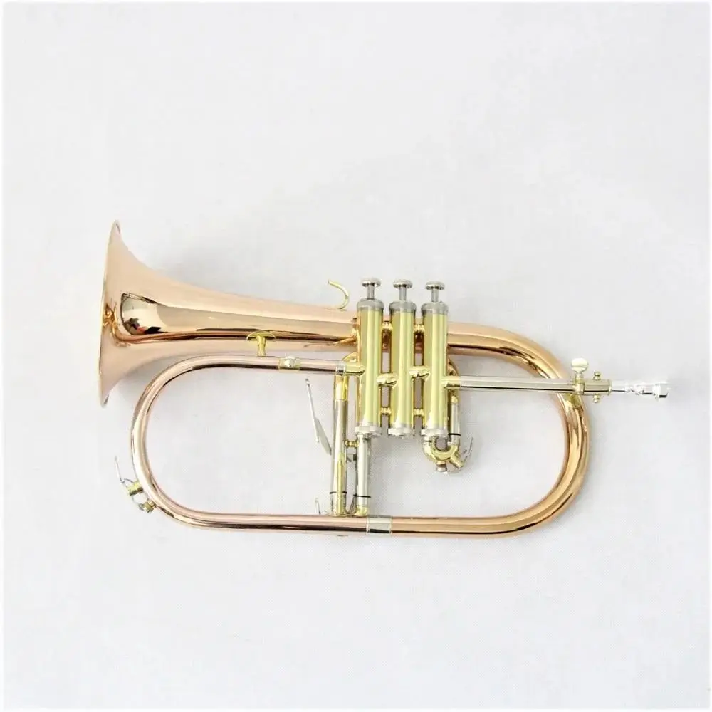 

Bb Standard Trumpets for Beginner or Advanced Student Brass Trumpet Instrument with 7C Mouthpiece Hard Case Polishing Cloth