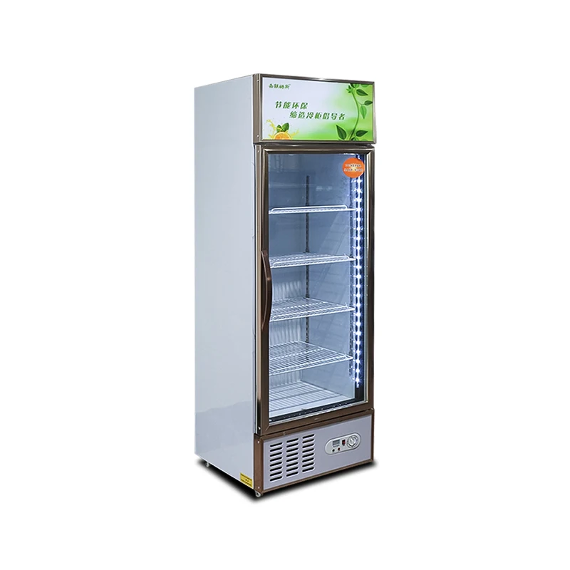 Single Door Vertical Beverage Display Refrigerator for Display