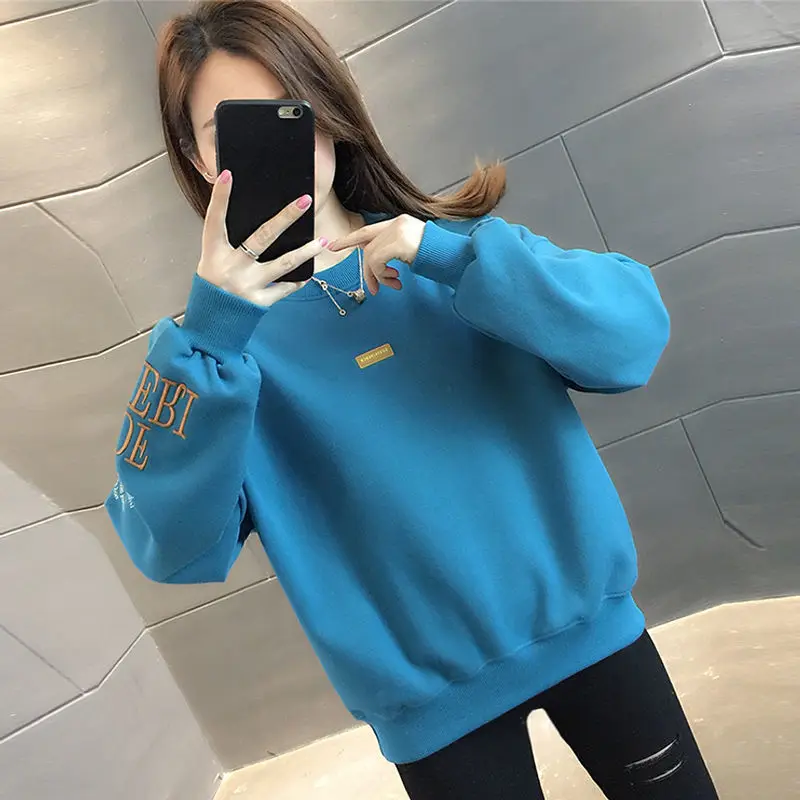 

Plush Thickened 2023 Autumn/Winter New Loose Hatless Top Sweater for Women(Available in Various Colors)