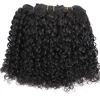 14-24Inches Pixie Bouncy Afro Kinky Curly Human Hair 3/4 Bundles Deal 100% Virgin Raw Hair Extension Double Drawn Wholesale 15A 4