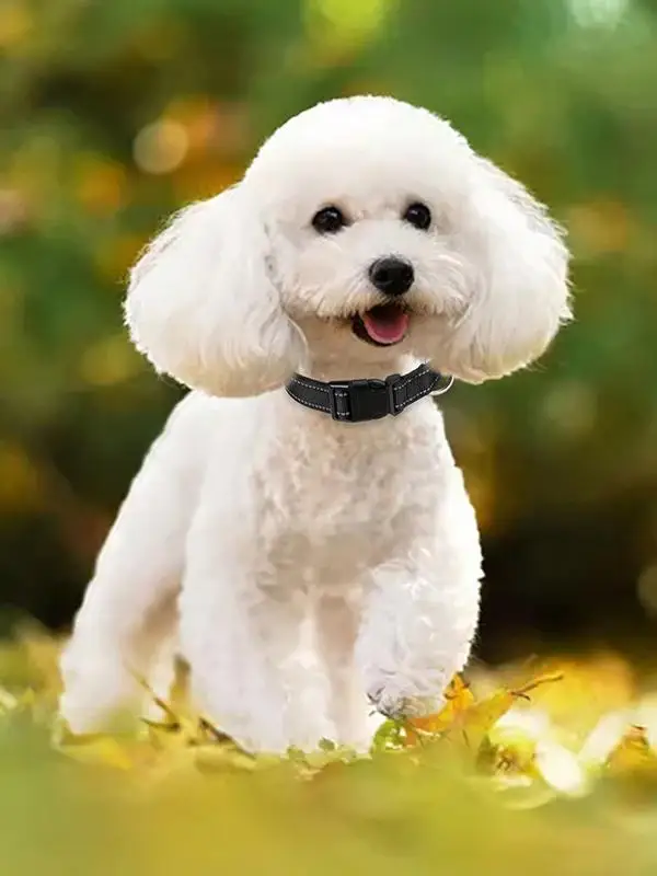 Dog Collar Reflective Dog Collar Adjustable Cat Collar Safety Nylon Pet Durable Comfortable Reflective Pet Supplies