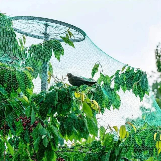 Garden Net Protects Plants with Durable Garden Protection Nets From Birds and Poultry Garden Plant Climbing Nets Gardening Tools 5
