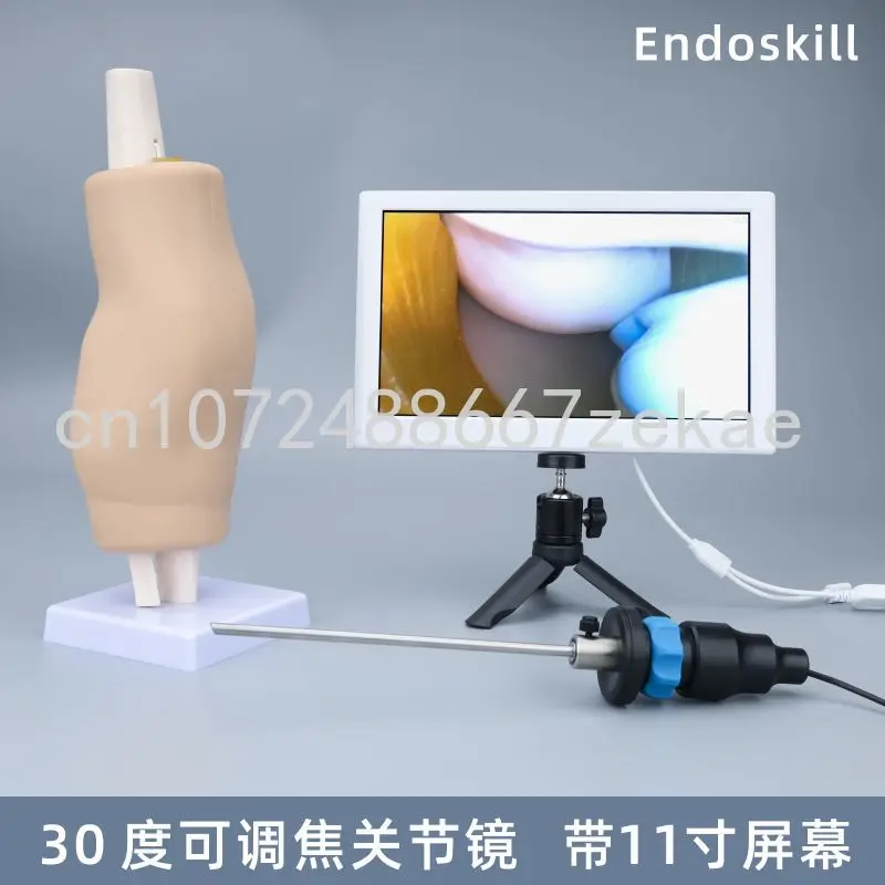 

Knee Joint Simulation Training Exercise Model 30 Degree Adjustable Focus Arthroscopy