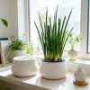 26319-9af8e0.jpg 3D Printed Hydroponic Kit - Soil-Free Indoor Planter Pot