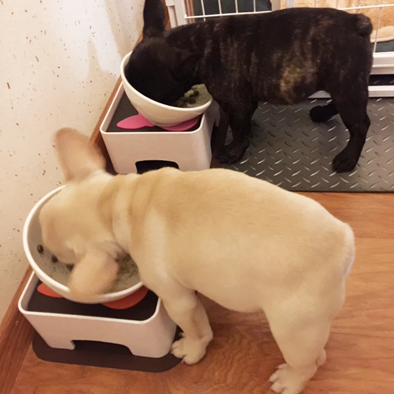 

Bulldog Feeder Tilted Single Food Bowls for French Bulldogs/Cats with Adjustable Stand
