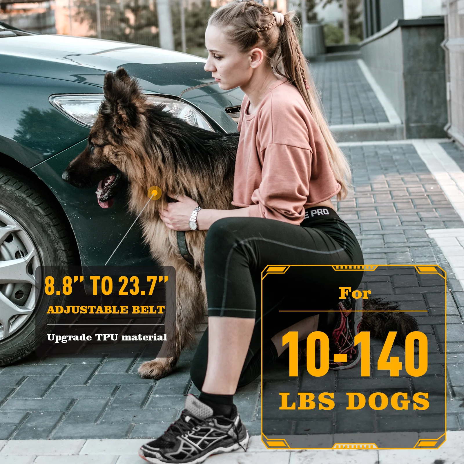 ABBIDOT T-WORKS Electric Shock Collar for Large Dog Training Collar 3/4 Mile Range No Bark Waterproof Rechargeable 920 Strap pet dog training collar