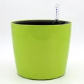1PC green