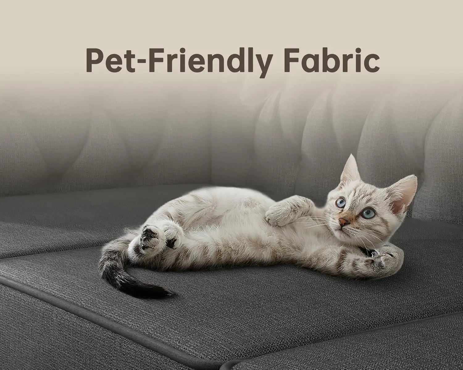 Slide image 1196ba8fc0c741688df75c10a6dfa39c