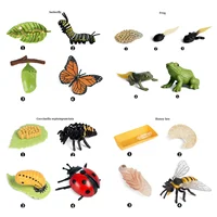 Simulation Biology Model Toy Animals Insects Life Growth Cycle Montessori Children Toys Set Teaching Aids Educational Toys 1
