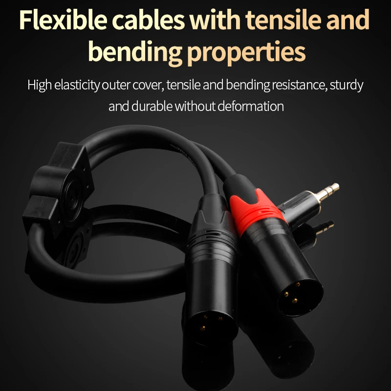 Premium AUX to Dual XLR Audio Cable - Balanced Sound Cord for Microphone, Speaker, and Amplifier