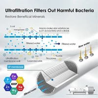ALTHY 0.01μm PVDF Ultrafilteration Water Filter System สําหรับการลดแบคทีเรีย, เมมเบรน UF แบบล้างทําความสะอาดได้, น้ําดื่ม 3