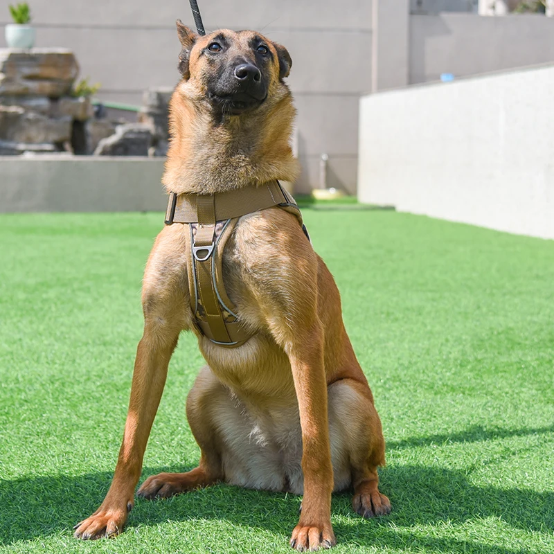 S18572fbb254c45b3923c90123ba1dfaeE