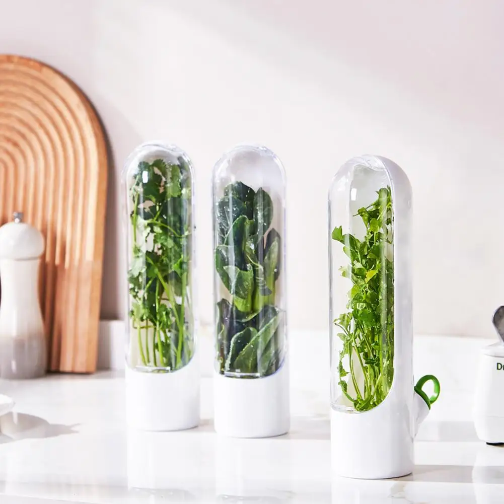 Herb Saver for Refrigerator Herb Storage Container Refrigerator Saver for Vegetable Preservation Cilantro Thyme Parsley