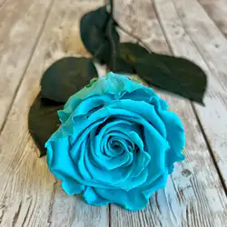 Eternal Preserved Real Rose - Timeless Gift of Love and Elegance (Tiffany blue)