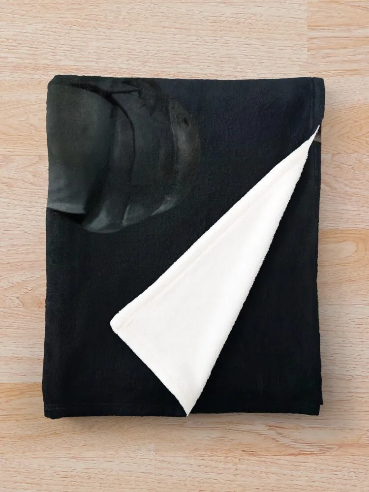 ���� �ɳ׵� ���� ��� ���� ���� ���� ���� ����