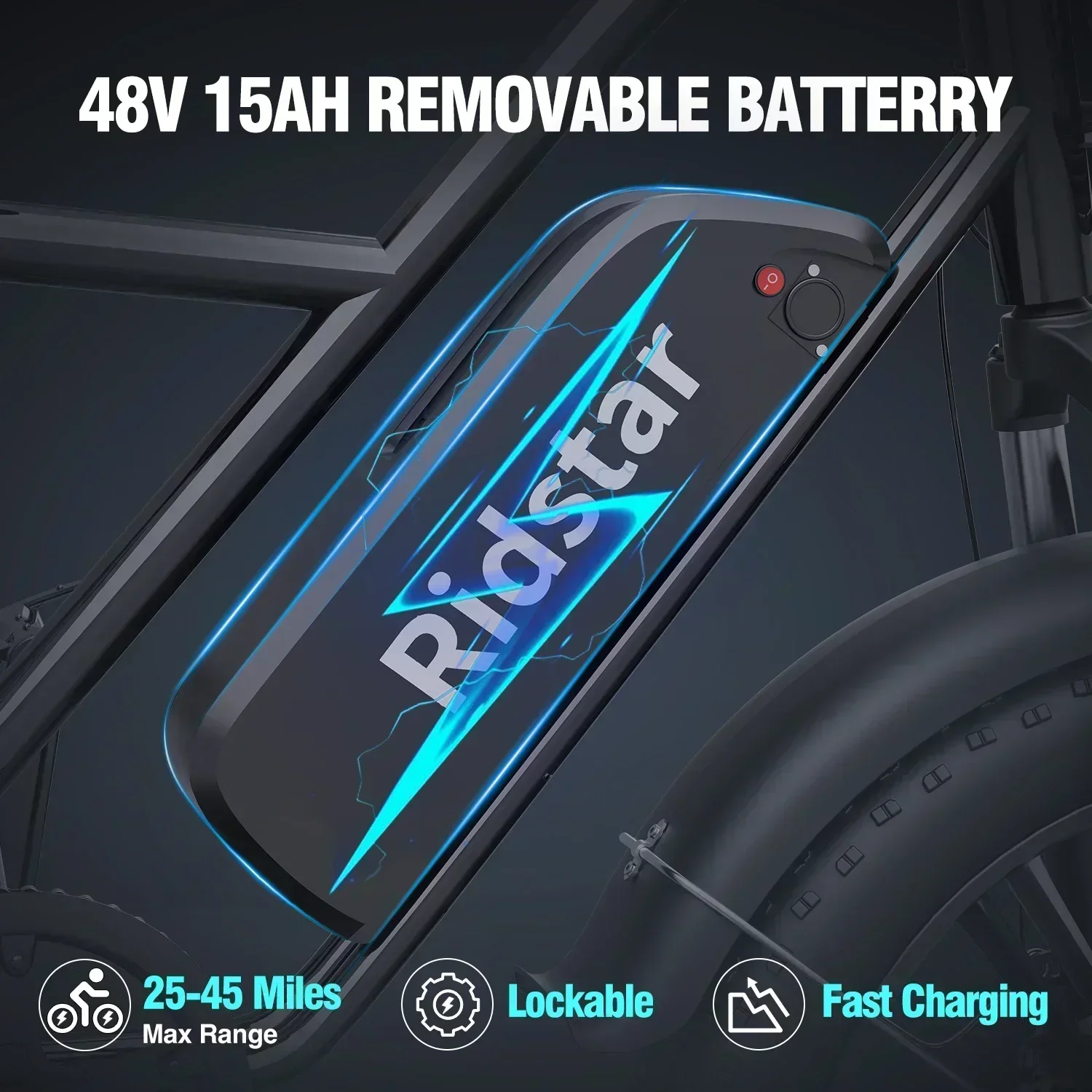 Ridstar FM-001 Electric Bicycle 1000W 48V 15AH Road City Ebike for Adult 20Inch Fat Tire Beach Mountain With Backseat for work