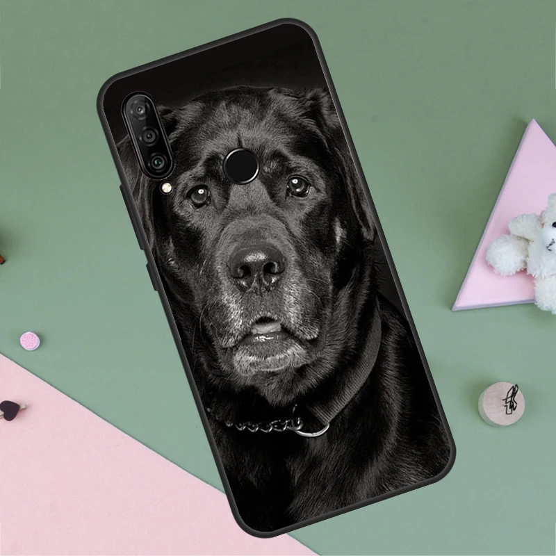 Labrador Puppy Dog Phone Case