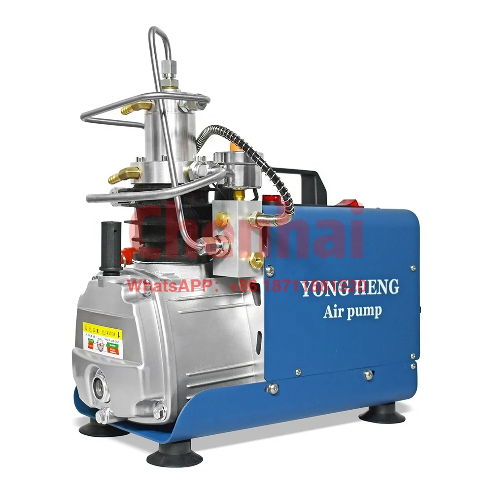 YONG HENG High Pressure Single Cylinder 4500psi 30mpa 300bar Auto Stop 110V 220V Air Compressor for Scuba Breathe Diving