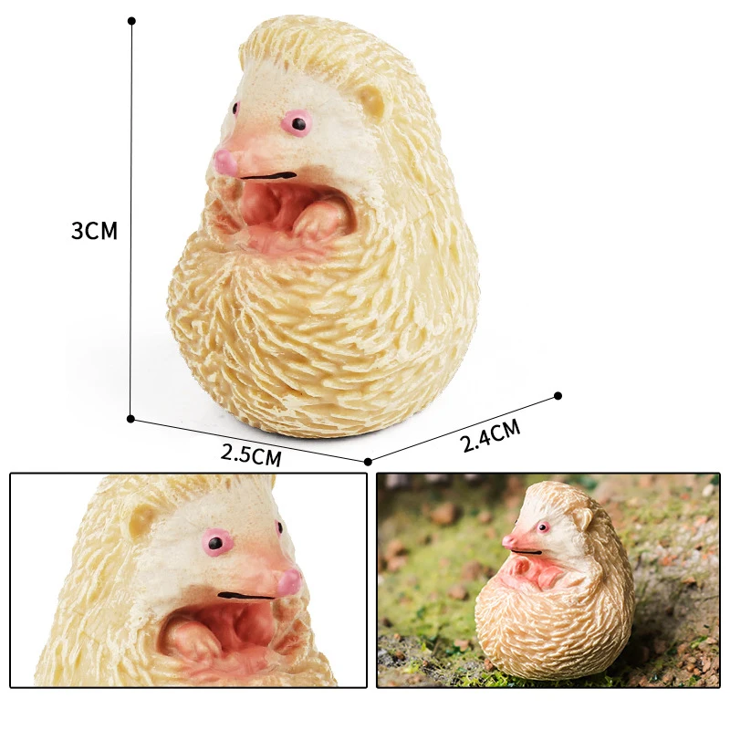 Hedgehog figure 7
