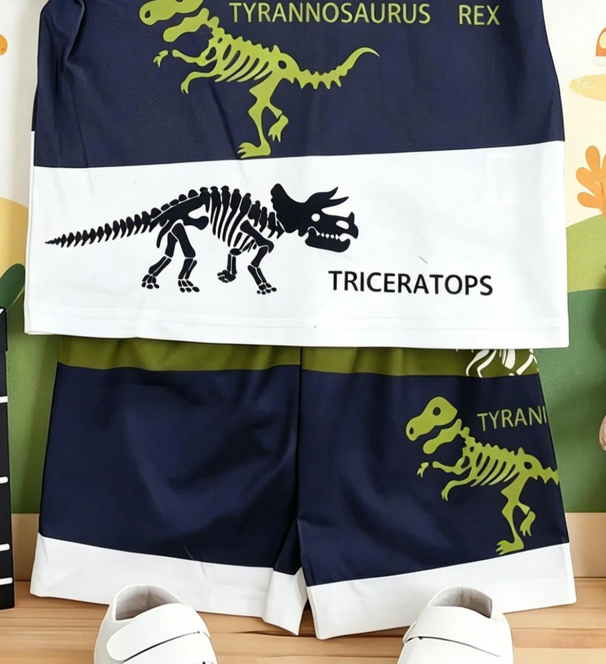 Boys Dinosaur Shorts Set 5