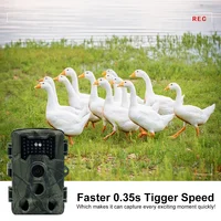 36MP 1080P Mini Hunting Trail Camera with Night Vision Motion Activated Wildlife Tracking Photo Trap and Wild Surveillance Cam - Image 3