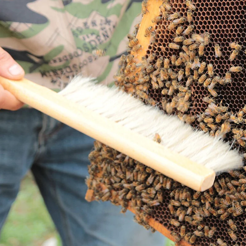 Beekeeping Tools Wood Honey Brush Wasp bee Sweep Horse Tail Hair